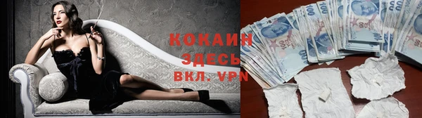 мдпв Верея