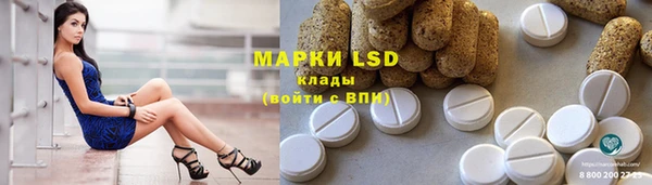 мдпв Верея