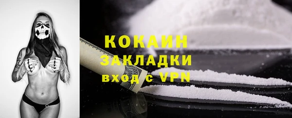 соль ск Верхний Тагил