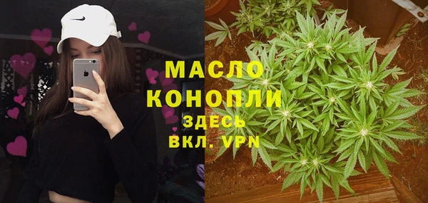 соль ск Верхний Тагил