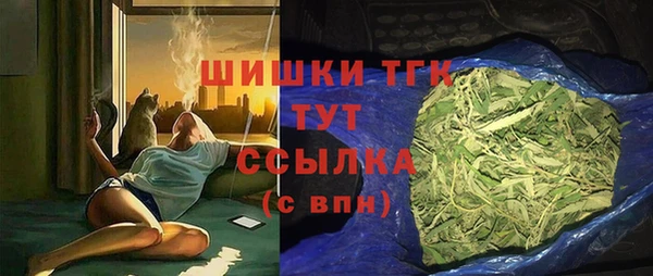 мдпв Верея