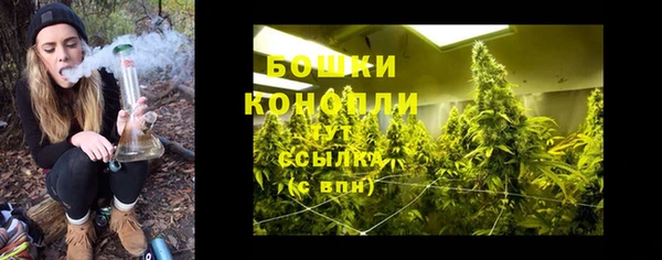 соль ск Верхний Тагил