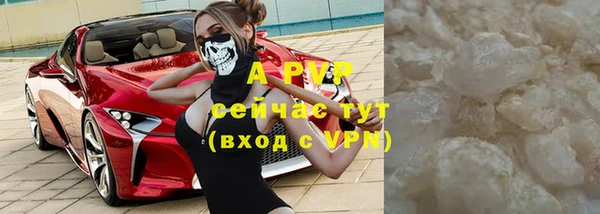 мдпв Верея