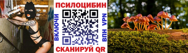 Купить где  Полевской  Галлюциногенные грибы Magic Shrooms 